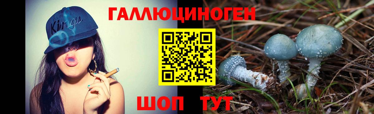 Псилоцибиновые грибы GOLDEN TEACHER  Псилоцибиновые грибы Cubensis  Новошахтинск  Вход с VPN 